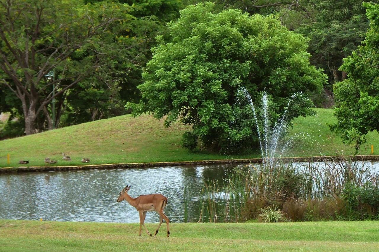 Kruger Park Lodge Unit No. 524 Hazyview Exteriér fotografie